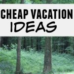 The average family vacation can run you thousands of dollars. If you’ve been thinking up cheap vacation ideas here are a few to get you started.