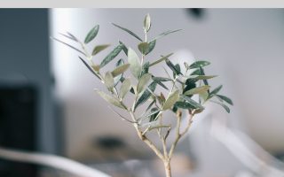 Over the past few years I’ve grown personally, professionally, and financially. I can look back now and see that for such a long time I was the only thing standing in my way of success.