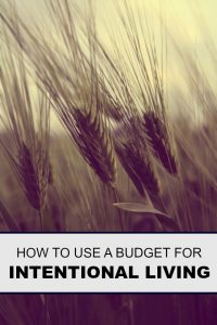 BUDGET FOR INTENTIONAL LIVING