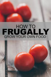 While growing your own food is often touted as great money saving advice (and I believe it is) it’s one of those areas where it’s easy to go overboard and can quickly become expensive.