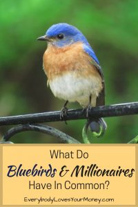 It's weird, but true. Here is something bluebirds have in common with first-generation millionaires.
