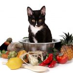 Isn't it about time you started making your own cat food?