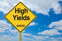 High yield money market accounts look appealing right now.