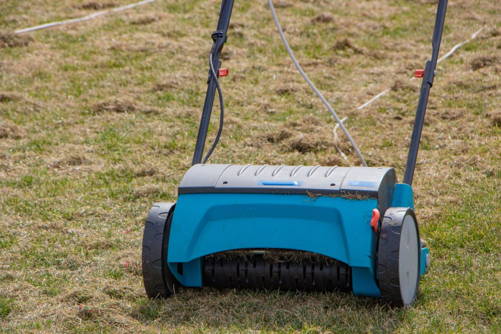Skipping lawncare services like aeration