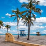Beach with tropical coconut palm trees and boardwalk in Florida.