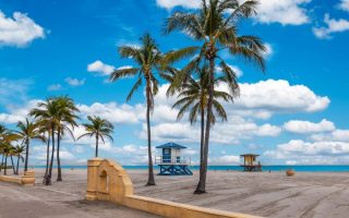 Beach with tropical coconut palm trees and boardwalk in Florida.