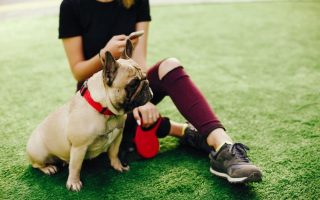 A woman doing pet training on her dog