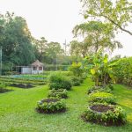 yard features