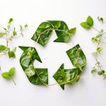Many eco-friendly trends are actually quite regressive