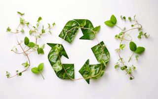 Many eco-friendly trends are actually quite regressive