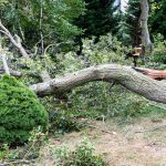 There are times when a neighbor's actions can cost you money.