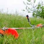 Some common yard choices can lead to a lawsuit