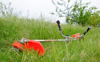 Some common yard choices can lead to a lawsuit