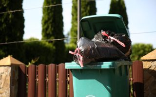 Items in your trash mark you for identity theft.