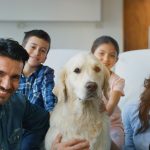 There are hidden costs of owning a pet that nobody talks about.