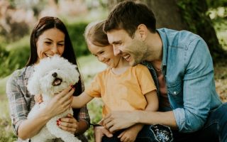 Some pet expenses are quietly bankrupting owners.