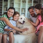Pet cremation fees are skyrocketing nationwide.